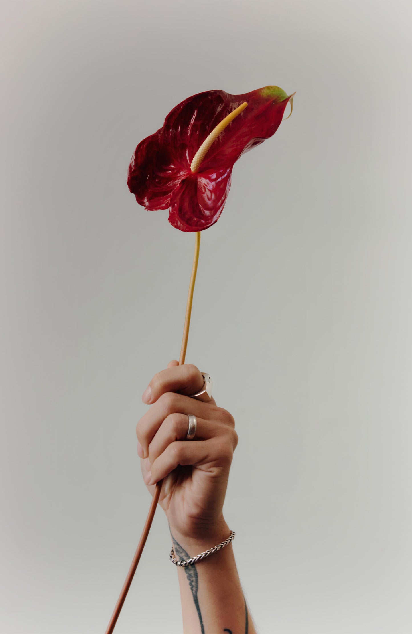 
                  
                    Spiga Chain Bracelet - Sterling Silver 4.4 mm
                  
                